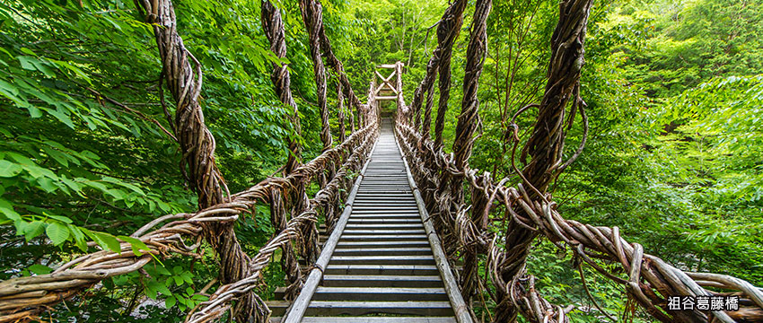 秘境祖谷溪葛藤橋